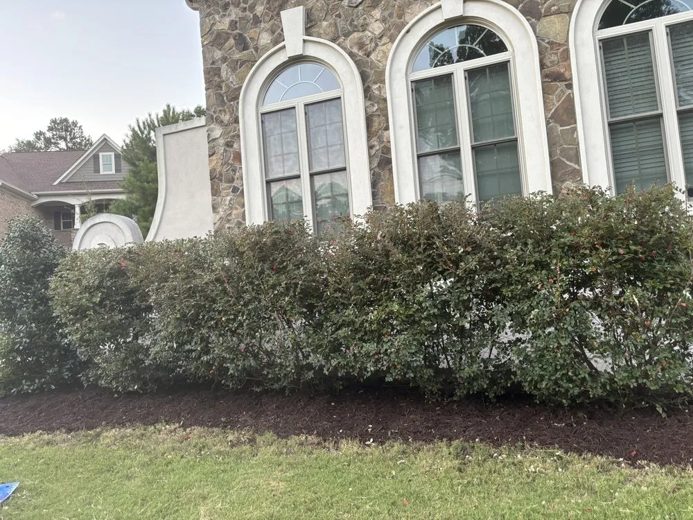 Local landscaping services for homes in Rock Hill, SC by Lawn Runners