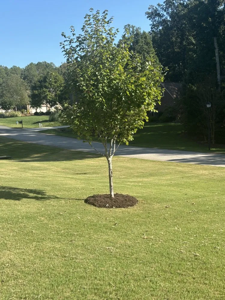 Reliable garden landscaping for residential properties in Rock Hill, SC by Lawn Runners