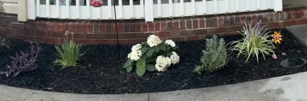 Local lawn care service experts serving Rock Hill, SC - Lawn Runners