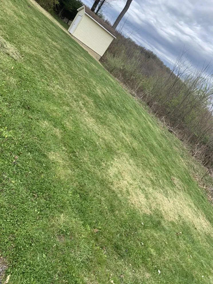 Professional landscape installation in Morgantown, WV - Lawn Rx