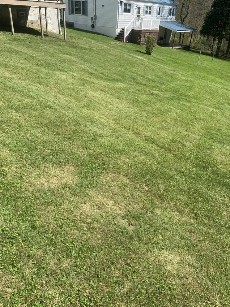 Affordable landscaping services in Morgantown, WV - Lawn Rx