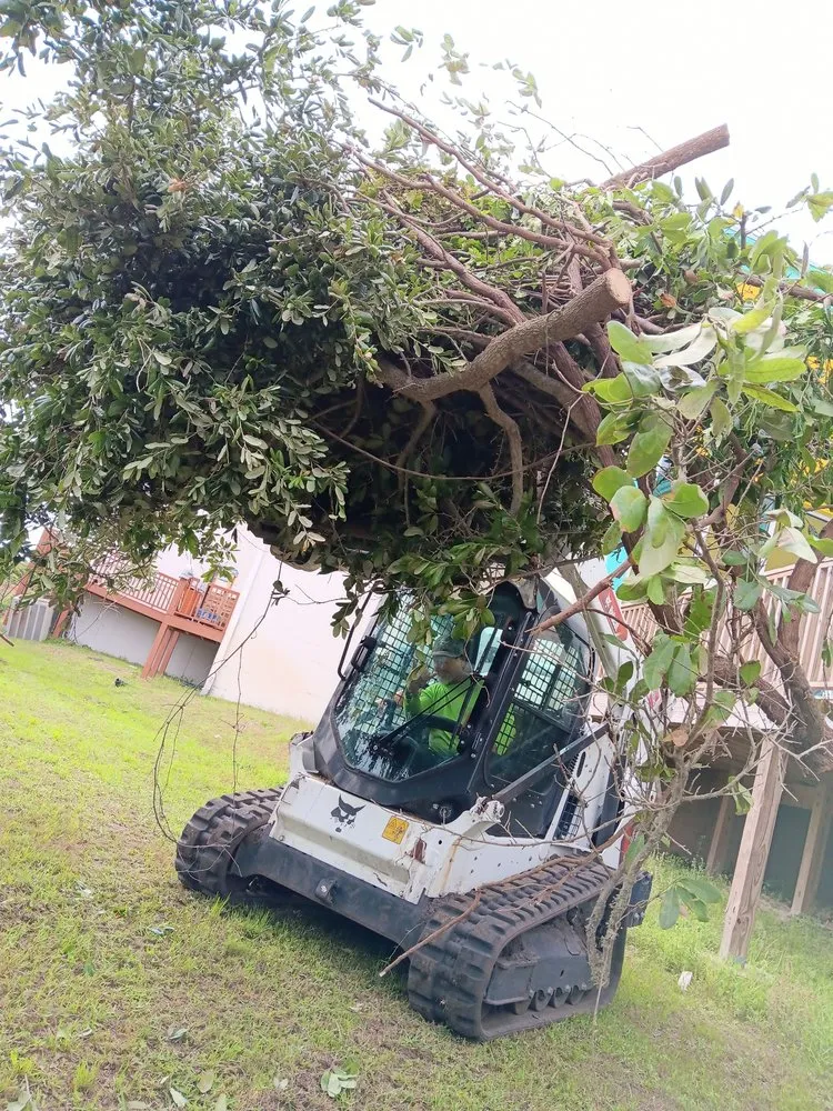 Expert yard maintenance for residential properties in Panama City, FL by Lawn Salawn