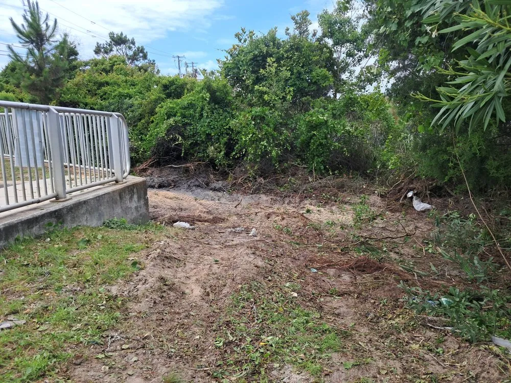 Affordable residential landscaping in Panama City, FL - Lawn Salawn