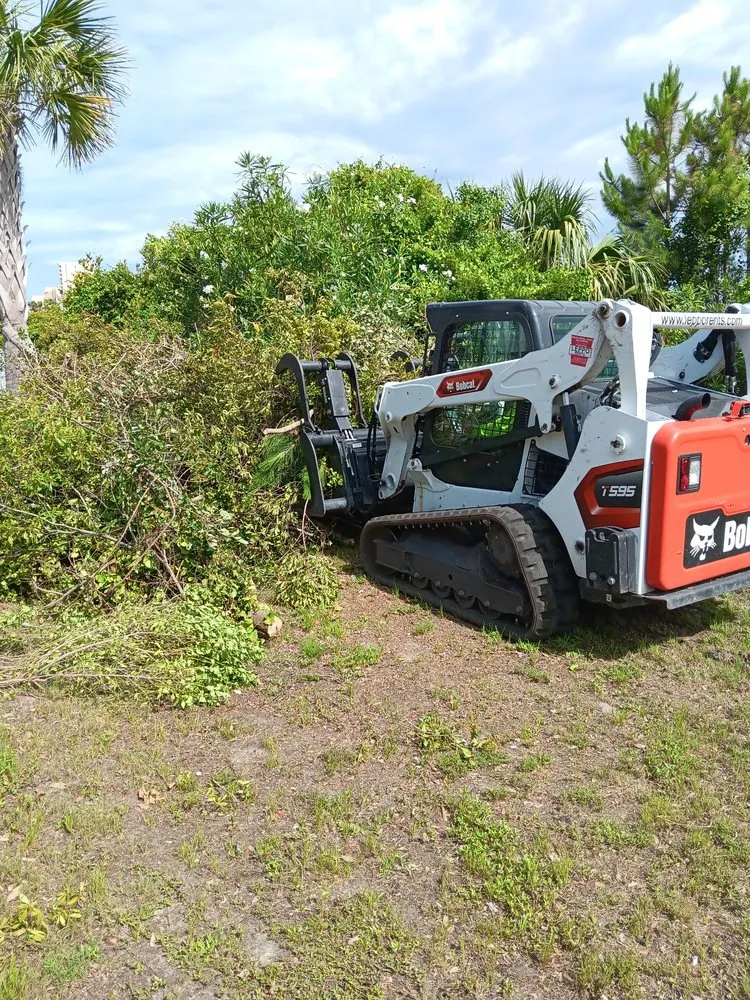 Expert outdoor landscaping experts serving Panama City, FL - Lawn Salawn