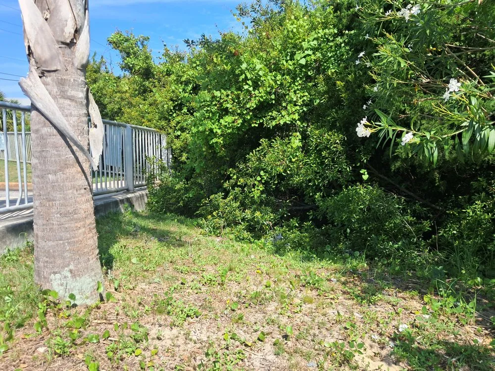 Expert lawn mowing service for residential properties across Panama City, FL - Lawn Salawn