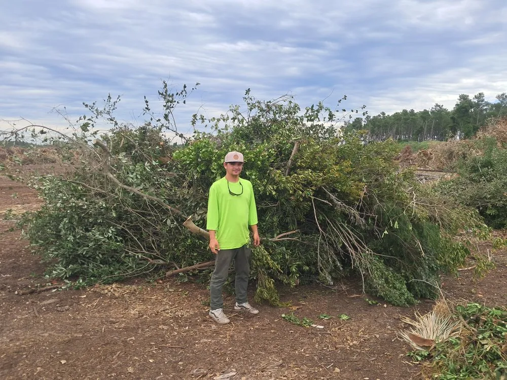 Local outdoor landscaping experts serving Panama City, FL - Lawn Salawn