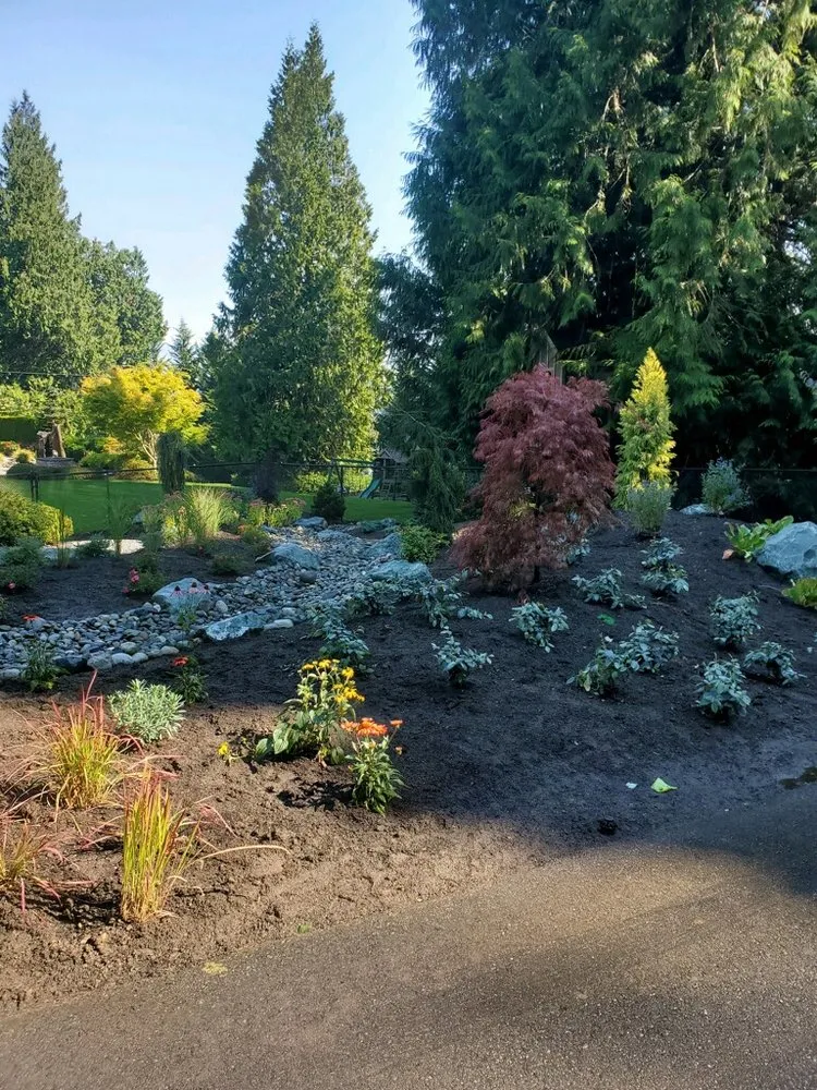 Reliable yard cleanup service for year-round maintenance across Sedro-Woolley, WA - Lawn Salon Landscaping Services