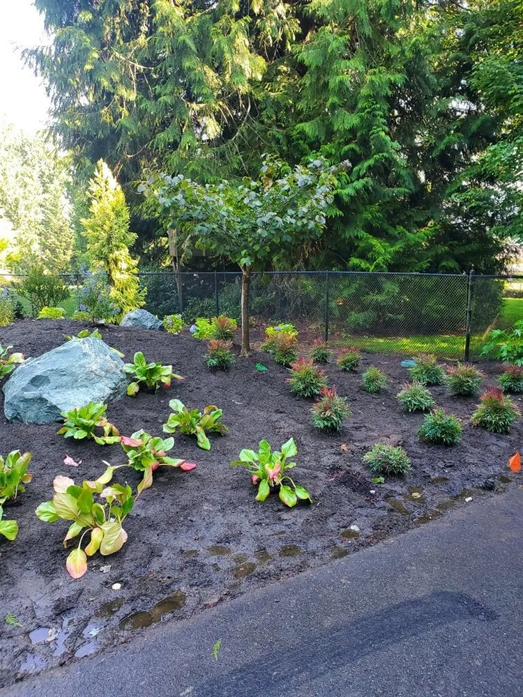 Custom landscaping services experts serving Sedro-Woolley, WA - Lawn Salon Landscaping Services