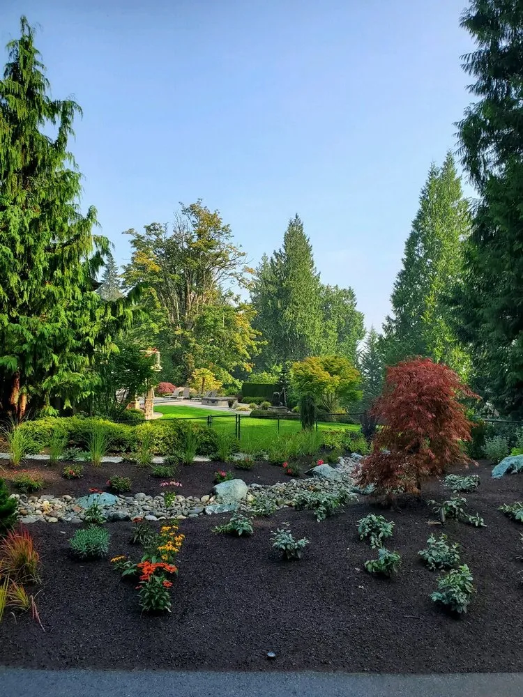Custom landscape installation for year-round maintenance across Sedro-Woolley, WA - Lawn Salon Landscaping Services