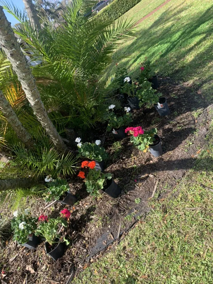 Trusted yard maintenance near you across Kenneth City, FL - Lawn Samurai