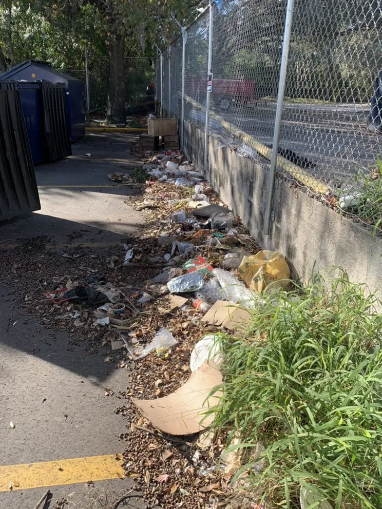 Professional yard cleanup service in Kenneth City, FL - Lawn Samurai