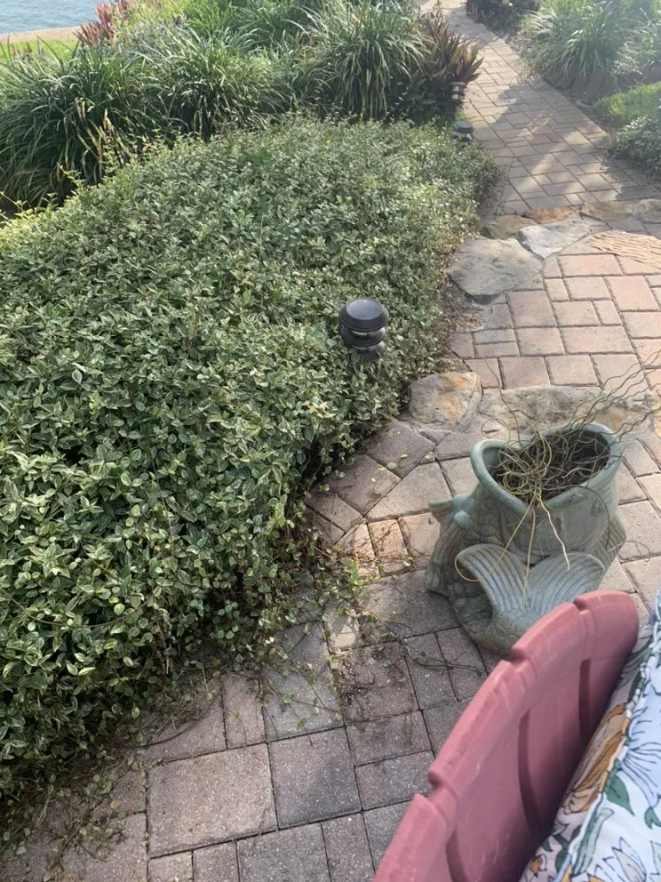 Affordable landscape installation experts serving Kenneth City, FL - Lawn Samurai