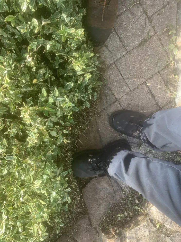 Custom outdoor landscaping for residential properties across Kenneth City, FL - Lawn Samurai