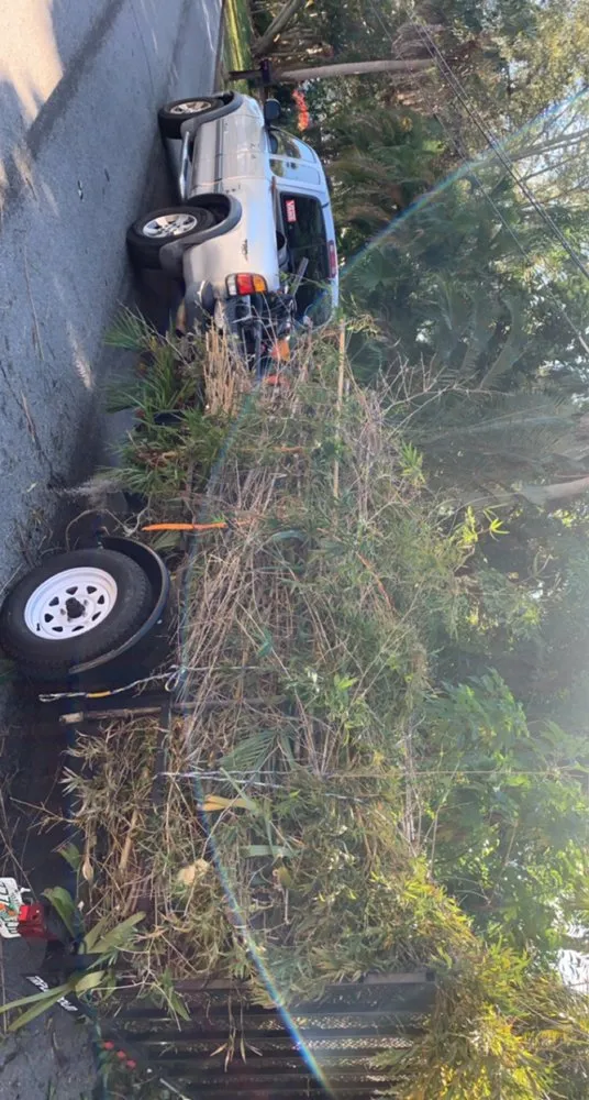 Reliable landscape design for beautiful yards across Kenneth City, FL - Lawn Samurai