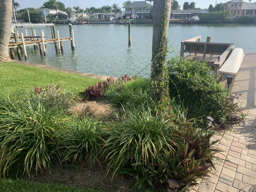 Professional landscape design in Kenneth City, FL - Lawn Samurai