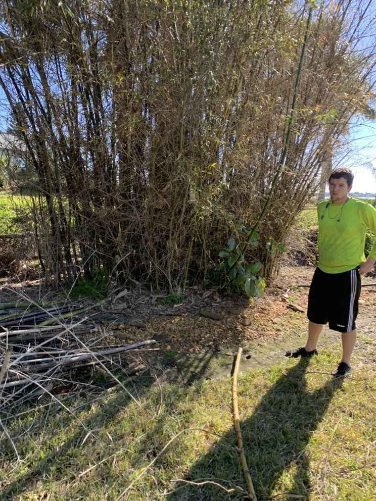 Professional landscape installation in Kenneth City, FL - Lawn Samurai