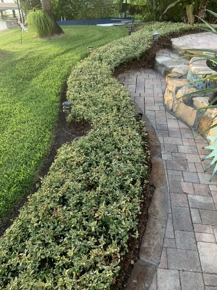 Affordable lawn mowing service in Kenneth City, FL - Lawn Samurai