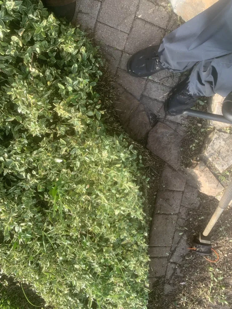 Professional yard maintenance for beautiful yards in Kenneth City, FL by Lawn Samurai