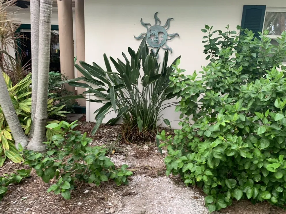 Affordable residential landscaping in Kenneth City, FL - Lawn Samurai