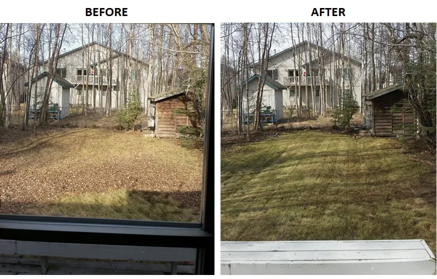 Trusted residential landscaping experts serving Anchorage, AK - Lawn Savers Lawn Care