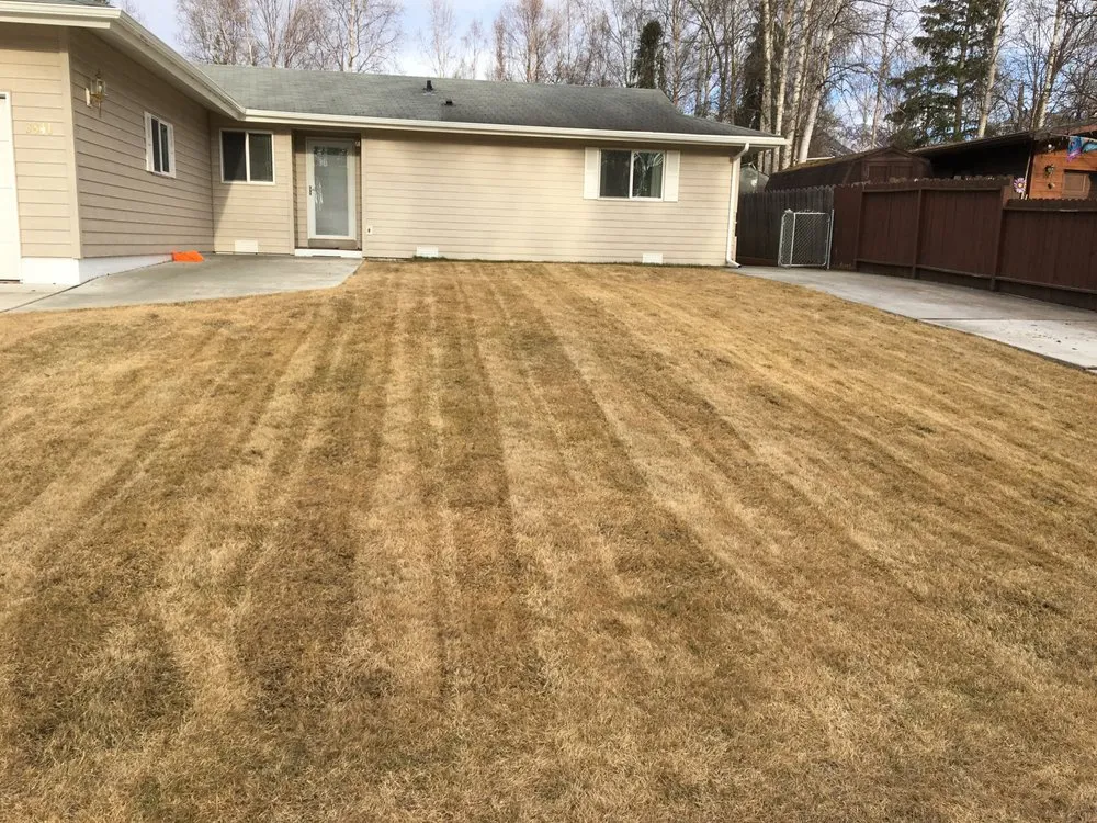 Reliable landscaping services in Anchorage, AK by Lawn Savers Lawn Care