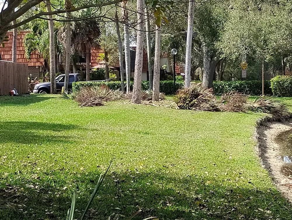 Local lawn care service for outdoor upgrades in Hallandale Beach, FL by Lawn Scoopers