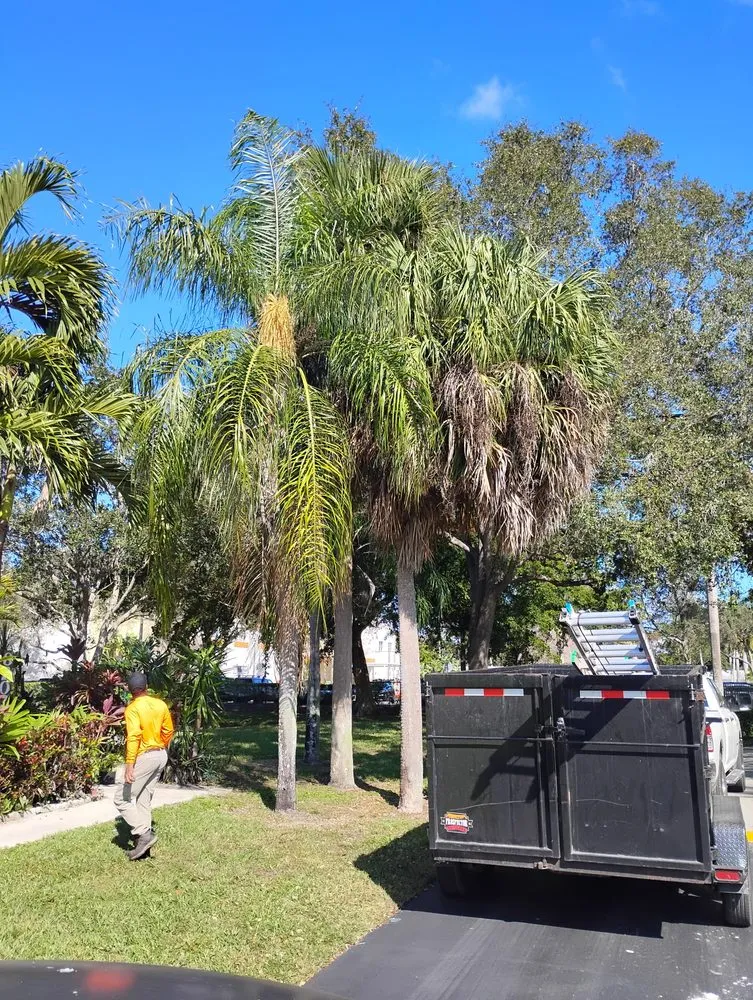 Trusted outdoor landscaping experts serving Hallandale Beach, FL - Lawn Scoopers