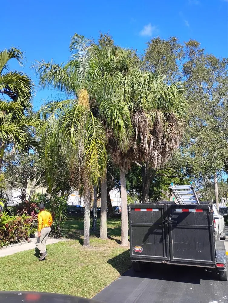 Top-rated garden landscaping for homes across Hallandale Beach, FL - Lawn Scoopers