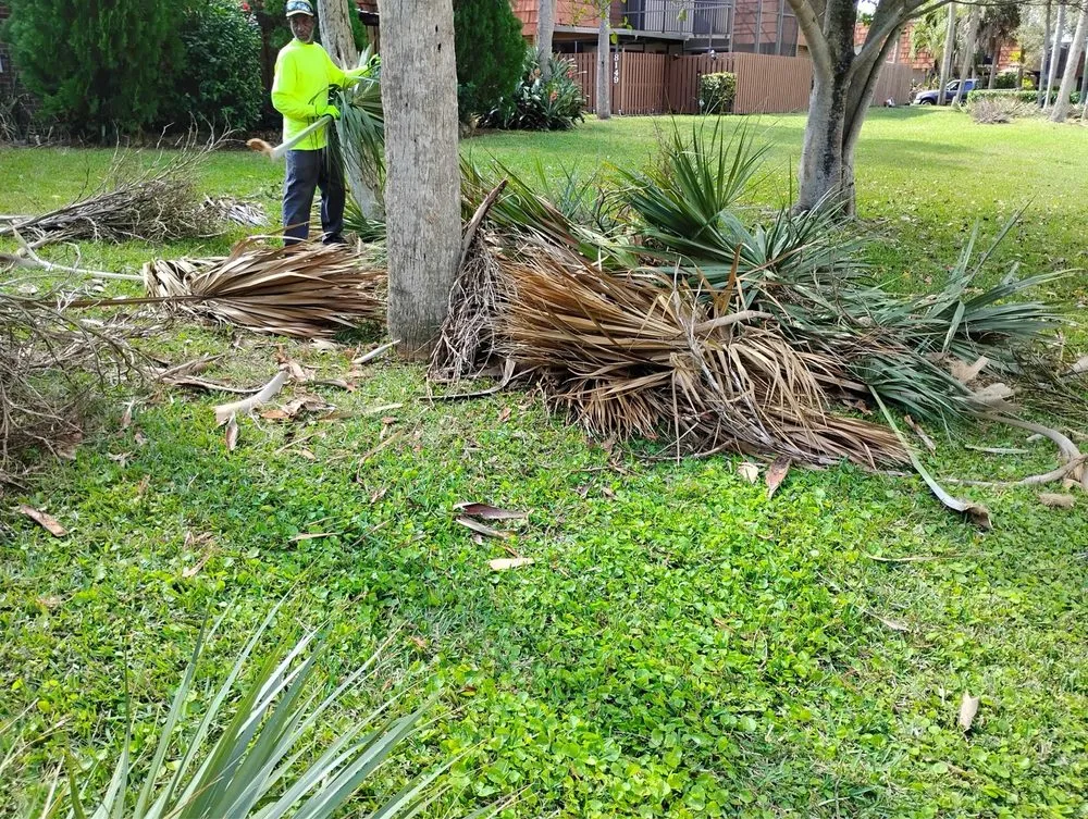 Affordable landscape installation experts serving Hallandale Beach, FL - Lawn Scoopers
