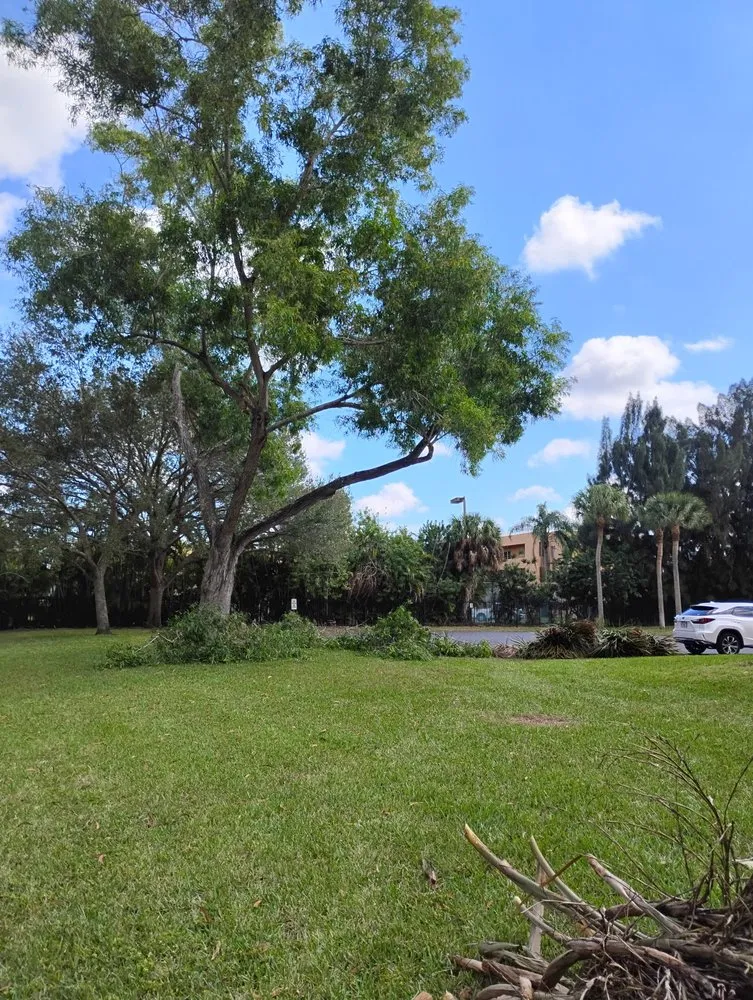 Top-rated garden landscaping in Hallandale Beach, FL - Lawn Scoopers