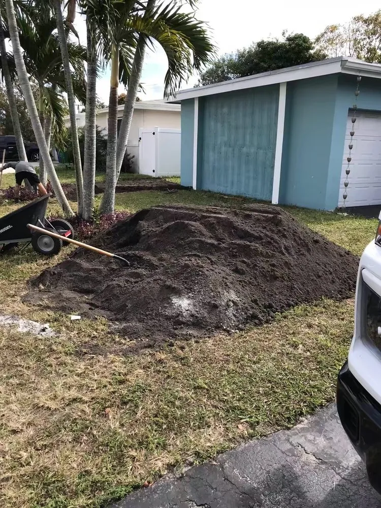 Local yard cleanup service in Hallandale Beach, FL - Lawn Scoopers