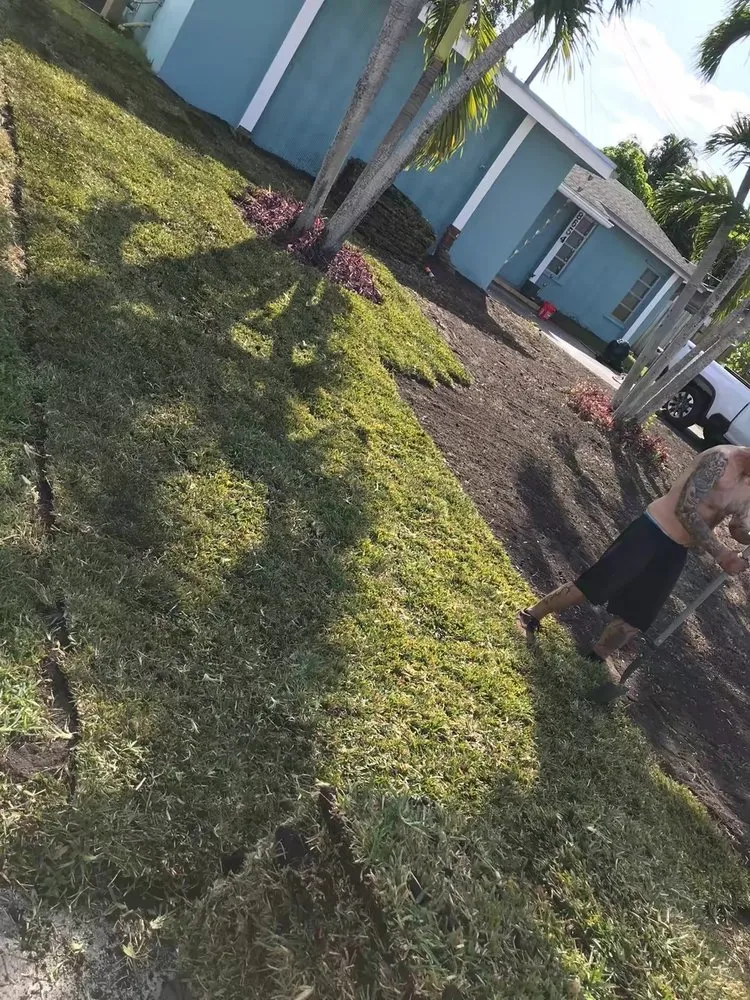 Affordable residential landscaping for outdoor upgrades in Hallandale Beach, FL by Lawn Scoopers