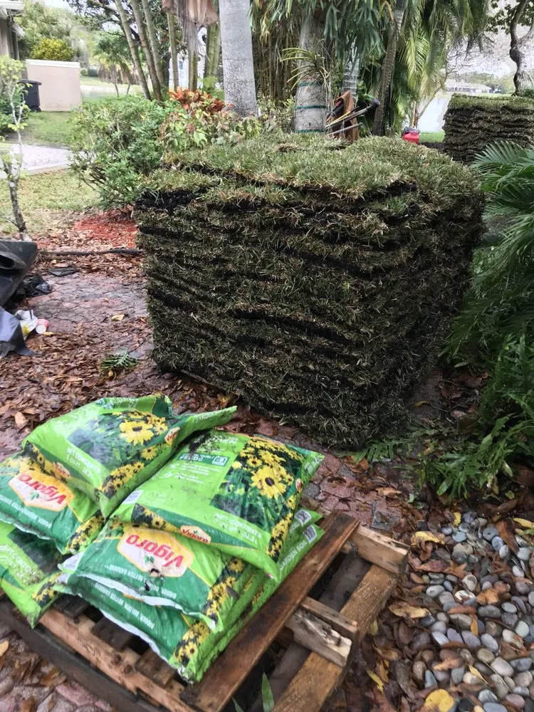 Affordable outdoor landscaping in Hallandale Beach, FL - Lawn Scoopers