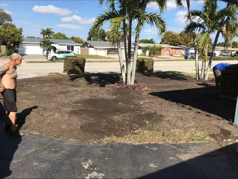 Reliable garden landscaping for outdoor upgrades in Hallandale Beach, FL by Lawn Scoopers