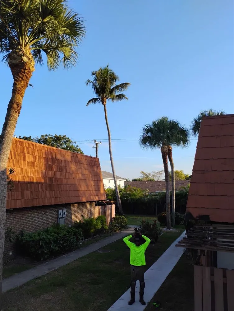 Top-rated landscape design experts serving Hallandale Beach, FL - Lawn Scoopers