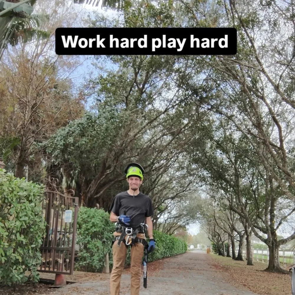 Reliable landscaping services in Hallandale Beach, FL by Lawn Scoopers