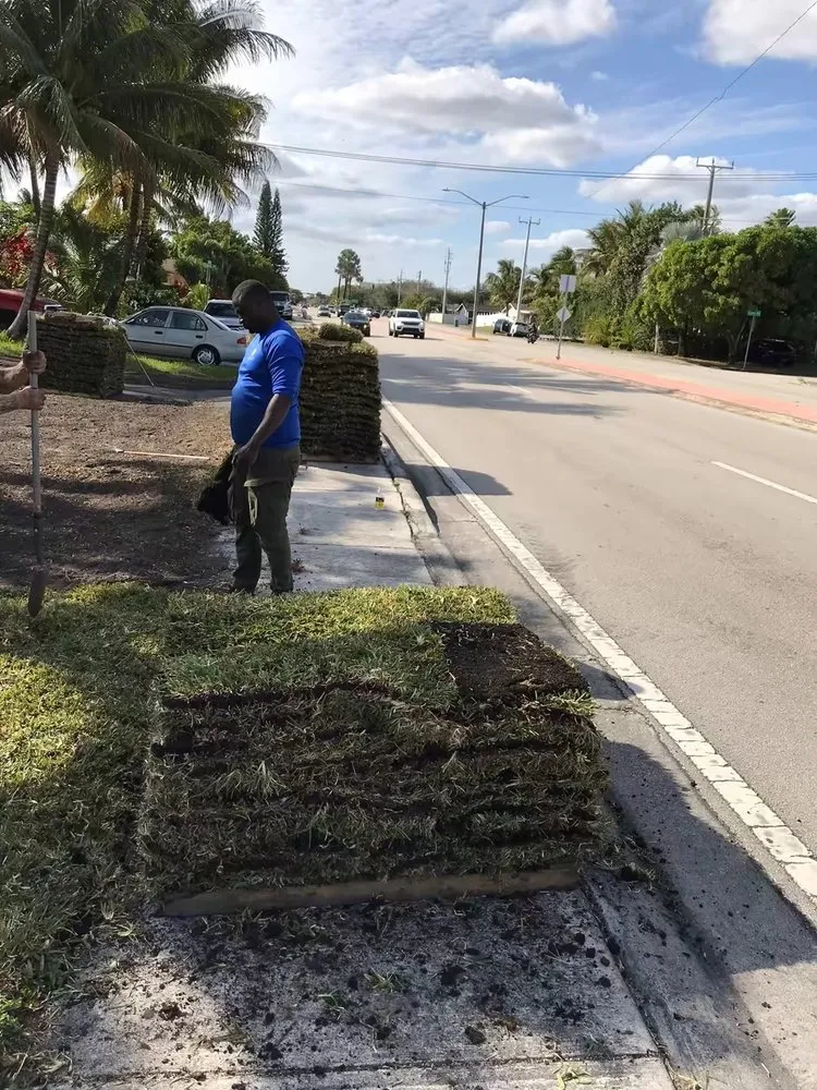 Custom yard cleanup service in Hallandale Beach, FL - Lawn Scoopers