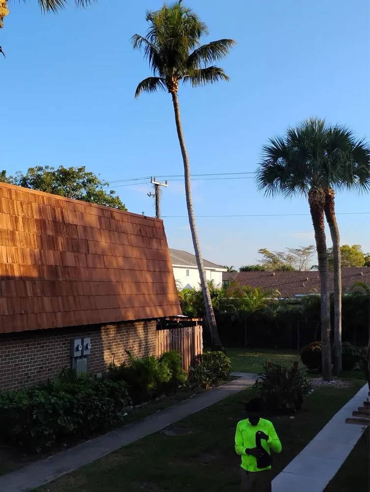 Custom landscaping services in Hallandale Beach, FL - Lawn Scoopers