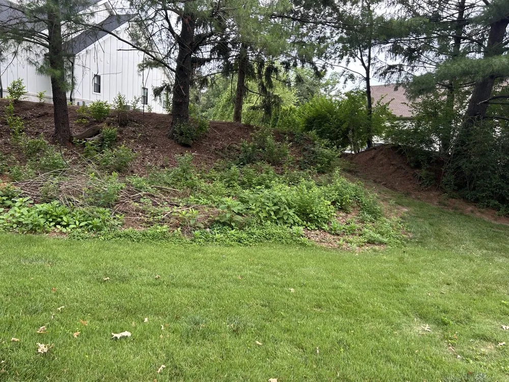 Top-rated landscape installation in Saint Louis, MO - Lawn Sculptors