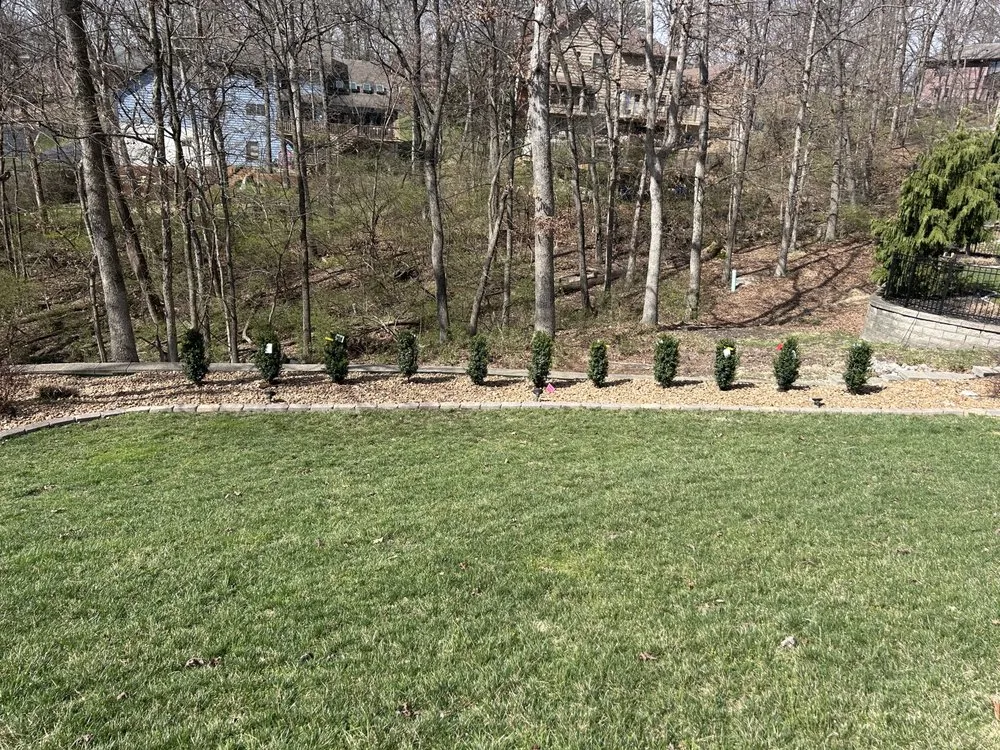Top-rated yard cleanup service near you across Saint Louis, MO - Lawn Sculptors
