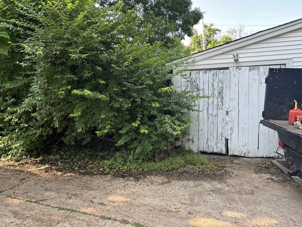 Top-rated yard maintenance near you across Saint Louis, MO - Lawn Sculptors