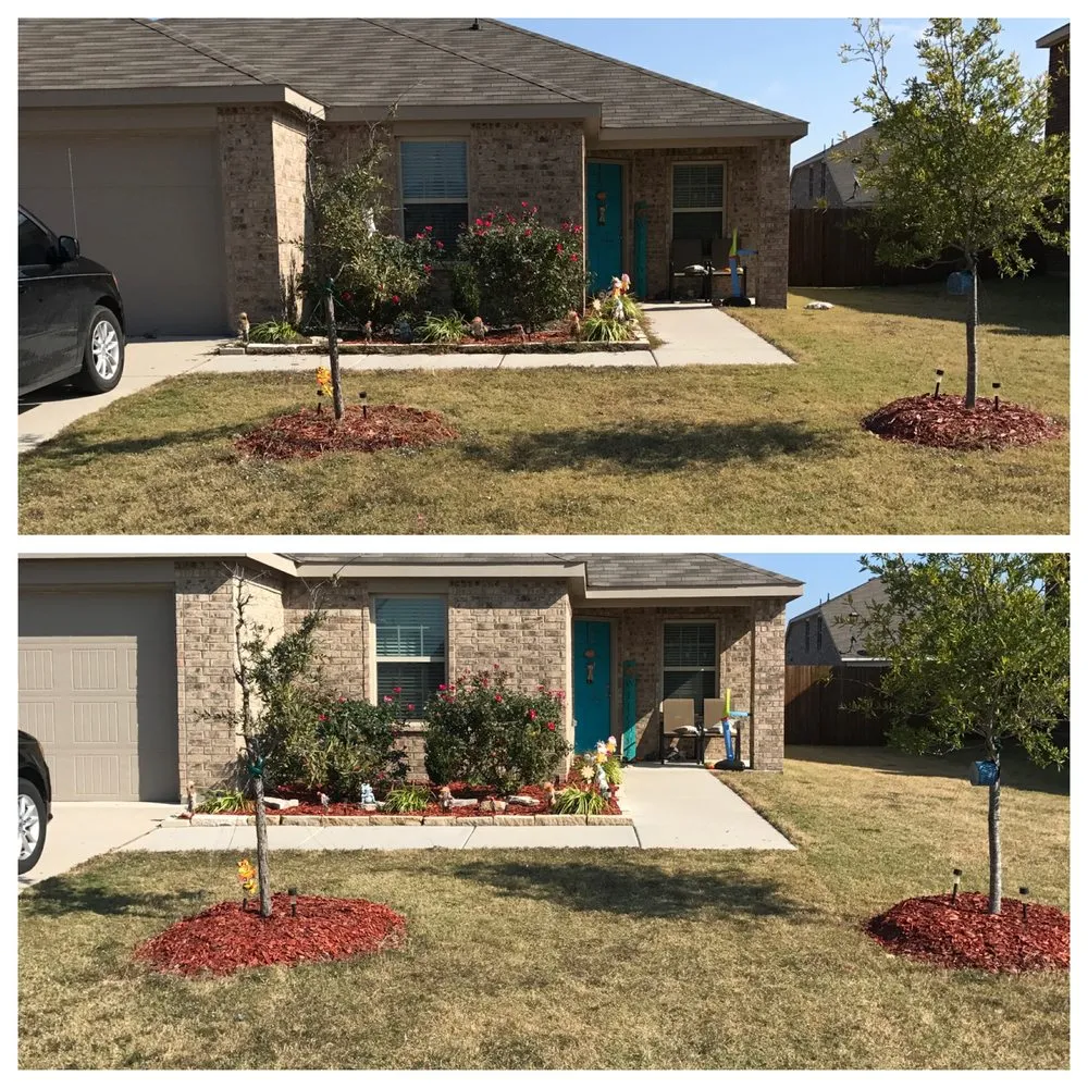 Custom lawn care service experts serving Mckinney, TX - Lawn Sense