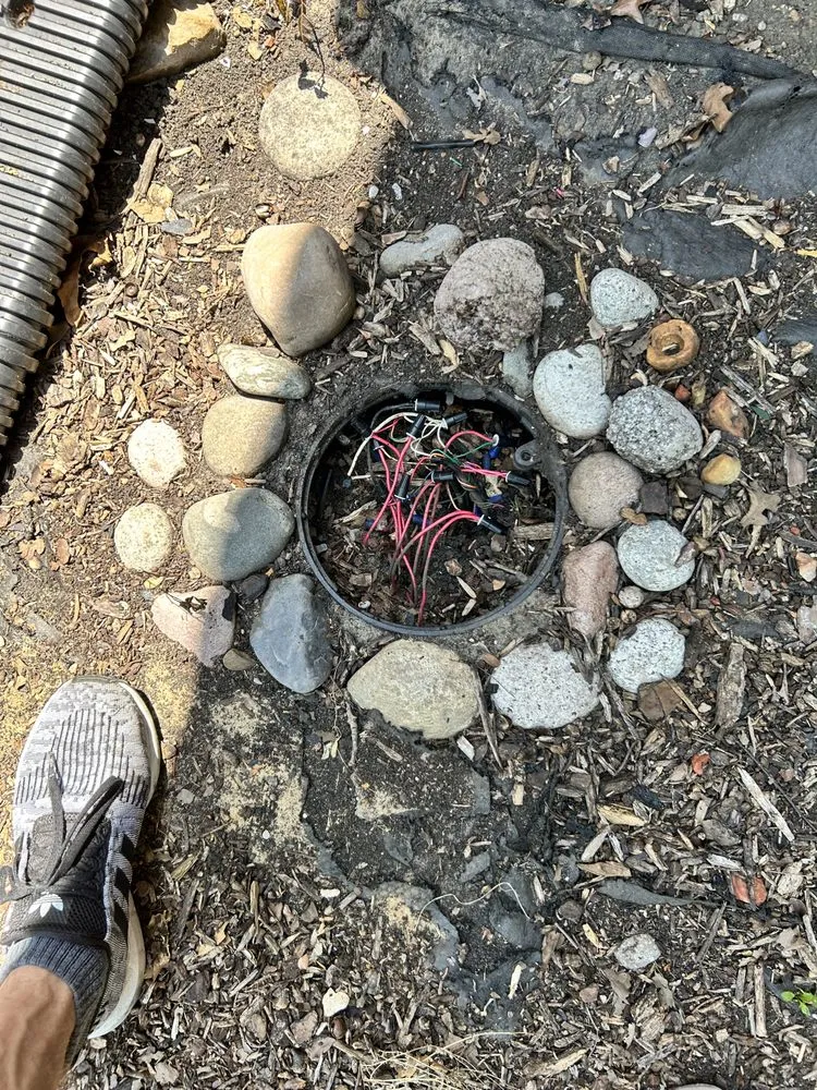 Affordable landscape installation in Mckinney, TX by Lawn Sense