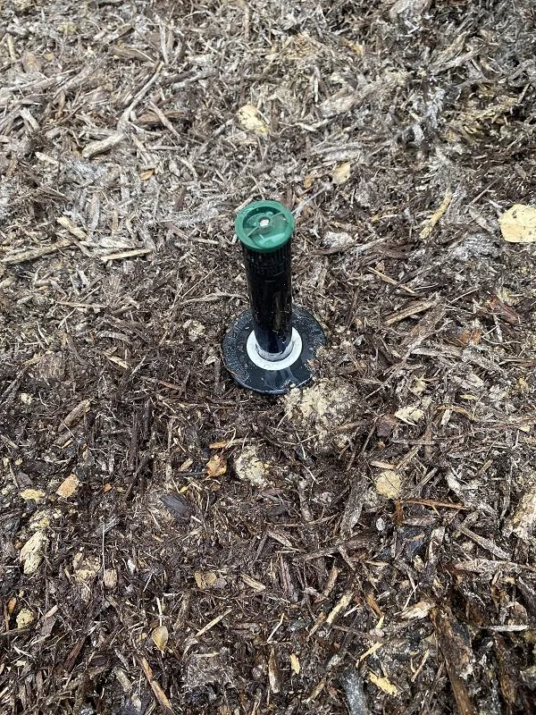 Reliable garden landscaping in Mckinney, TX - Lawn Sense