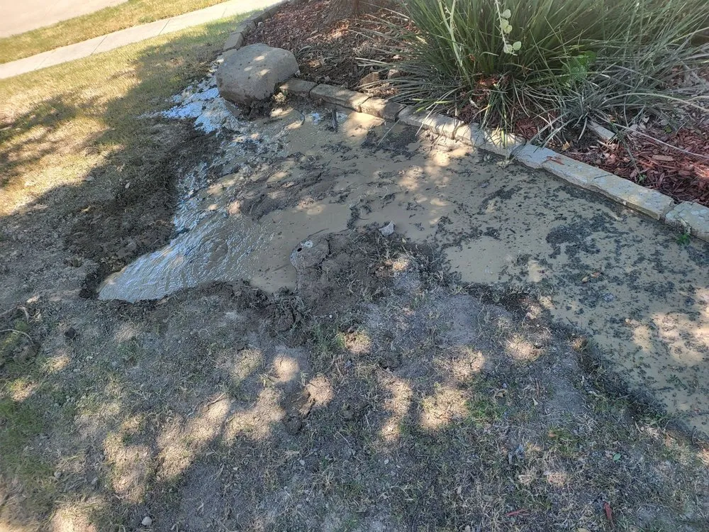 Custom landscaping services near you in Mckinney, TX by Lawn Sense