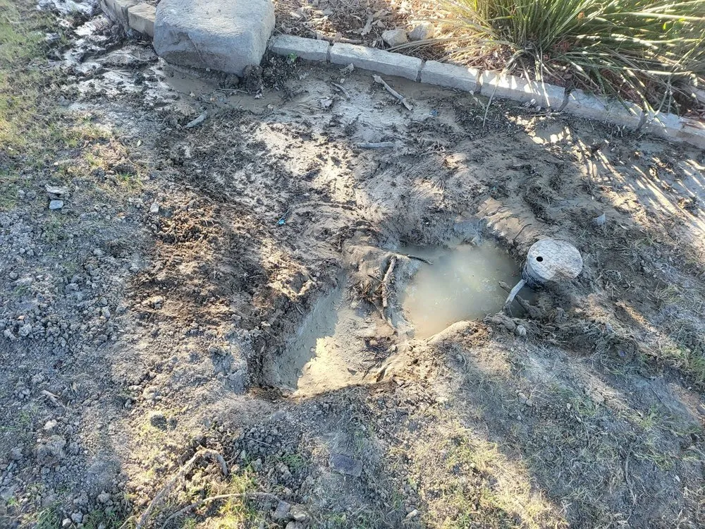 Professional landscape design in Mckinney, TX by Lawn Sense