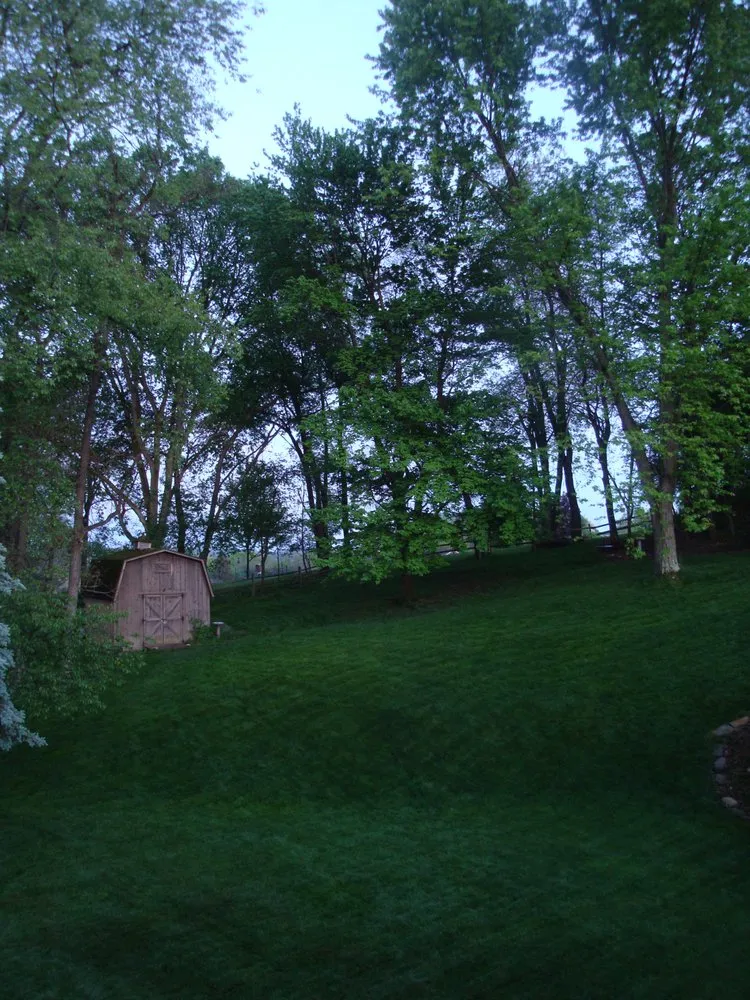 Reliable lawn mowing service near you across Pittsburgh, PA - Lawn Sense