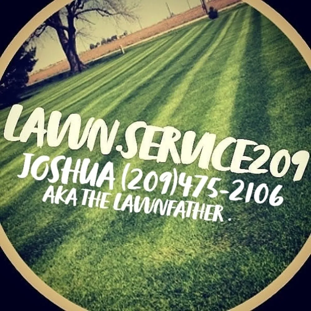 Expert yard cleanup service in Stockton, CA by Lawn Service 209
