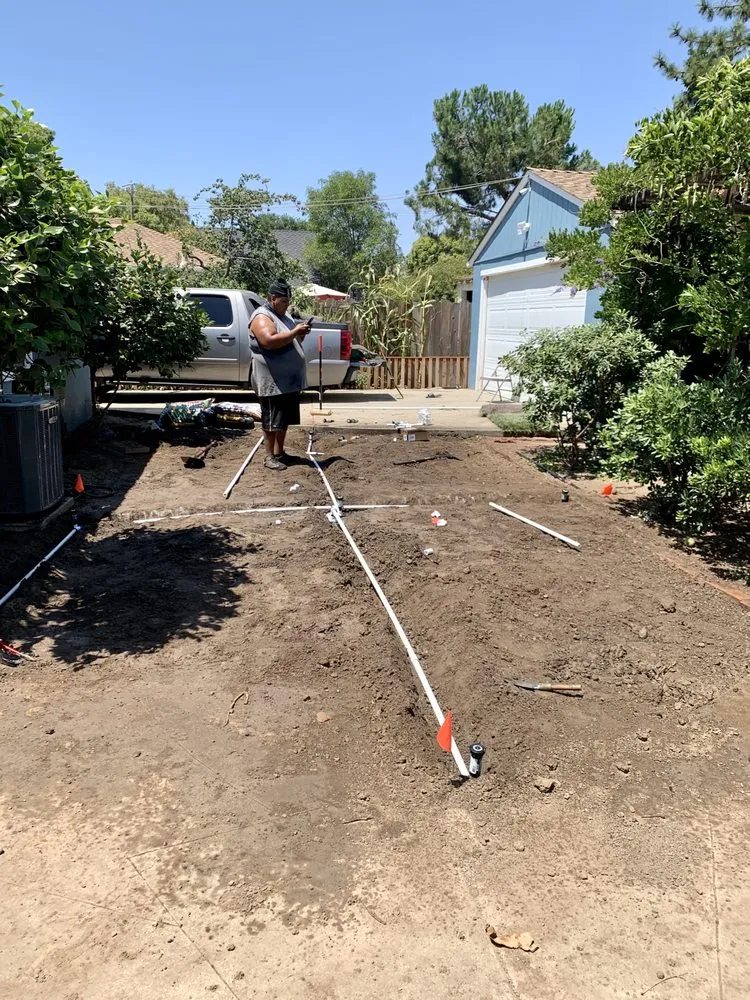 Reliable residential landscaping experts serving Stockton, CA - Lawn Service 209