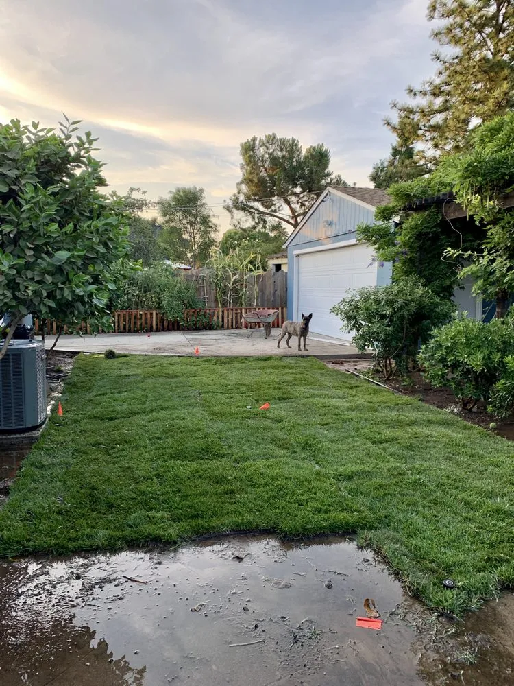 Top-rated garden landscaping with custom design in Stockton, CA by Lawn Service 209
